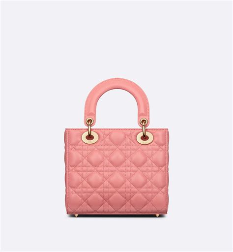 sacchetto panno per borsa christian dior|Borse Christian dior in Tela Rosa .